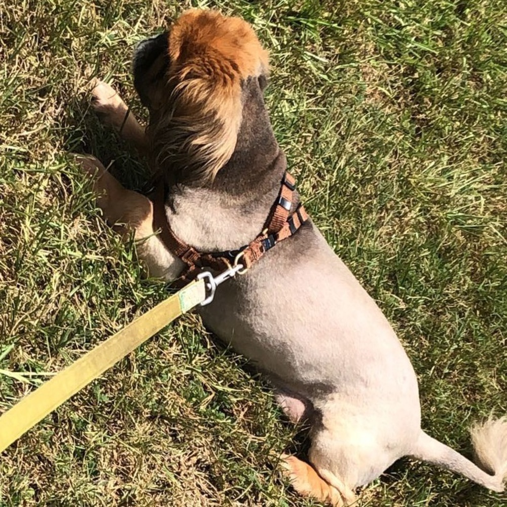 Meet your Posher, Cloe